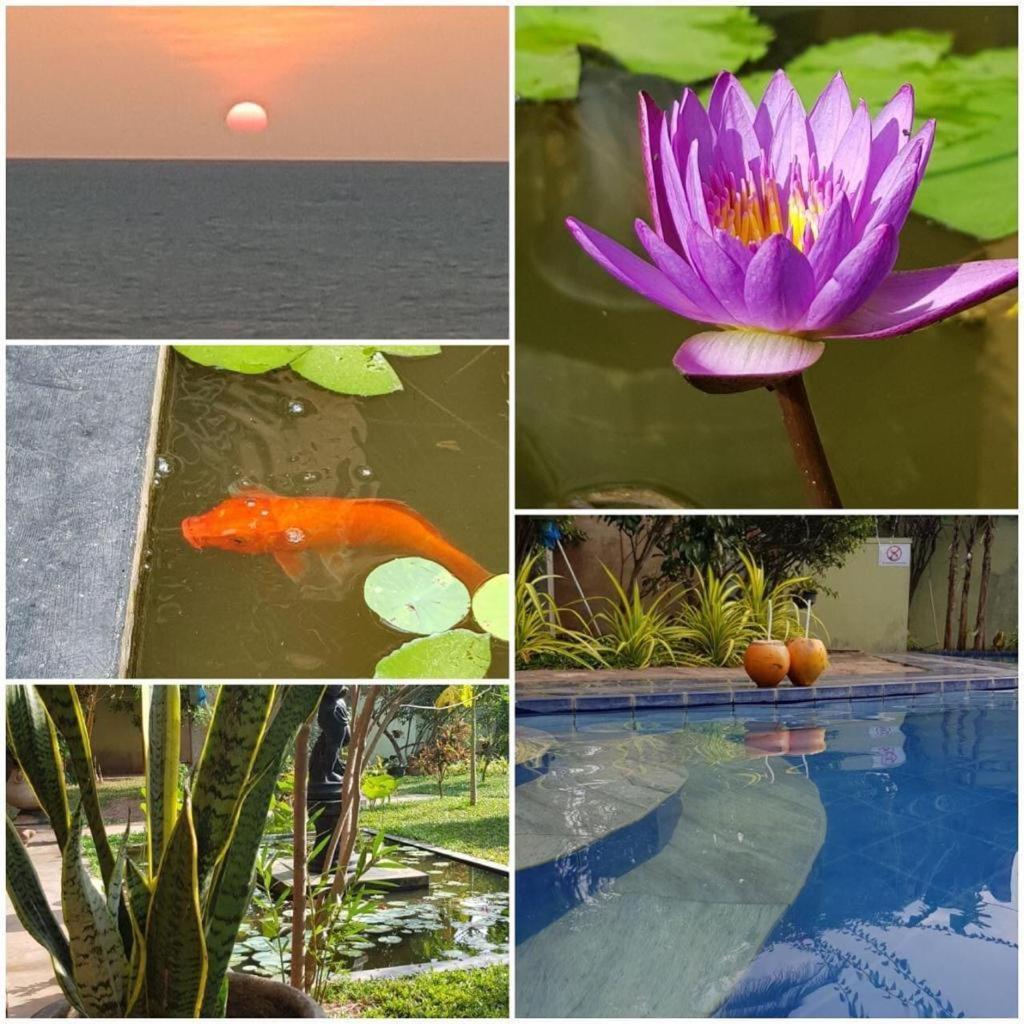 Solomon Beach Hotel Маравила Экстерьер фото
